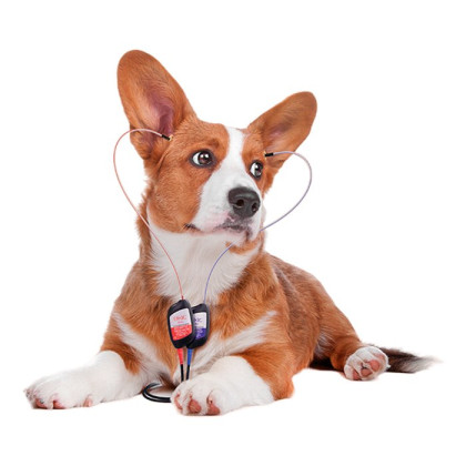 Фото товара Компьютерный аудиометр для ветеринарии Нейро-АудиоВ