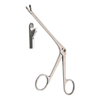 Конхотом с ложкообразными губками, Тумботино Фото товара Конхотом с ложкообразными губками, Тумботино