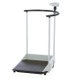 Многофункциональные медицинские весы с поручнями SECA 644 Фото товара Многофункциональные медицинские весы с поручнями SECA 644