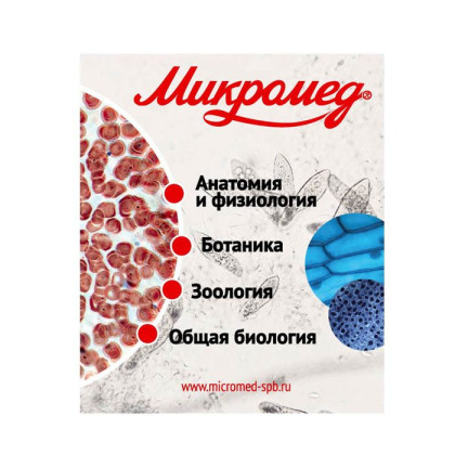 Фото товара Набор готовых микропрепаратов Микромед № 80
