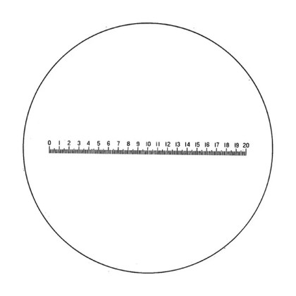Стекло сменное со шкалой измерения для луп Precision scale magnifiers Фото товара Стекло сменное со шкалой измерения для луп Precision scale magnifiers