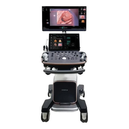 Ультразвуковой аппарат Mindray Imagyn I9 Фото товара Ультразвуковой аппарат Mindray Imagyn I9