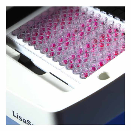 Универсальный фотометр для ИФА и микробиологии LisaScan EM Erba Фото товара Универсальный фотометр для ИФА и микробиологии LisaScan EM Erba