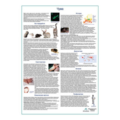 Чума, медицинский плакат А1+/А2+ Фото товара Чума, медицинский плакат А1+/А2+