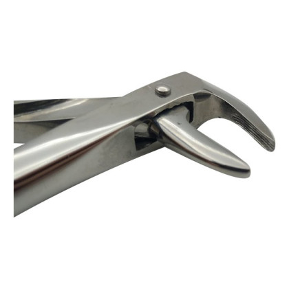 Щипцы для удаления корней зубов нижней челюсти 74N Фото товара Щипцы для удаления корней зубов нижней челюсти 74N