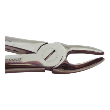 Щипцы для удаления молочных моляров верхней челюсти № 39 Фото товара Щипцы для удаления молочных моляров верхней челюсти № 39