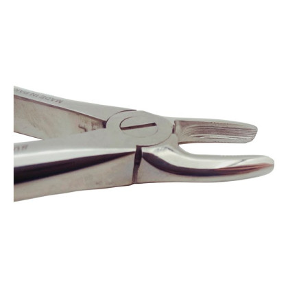 Щипцы для удаления молочных резцов верхней челюсти Ж 37 Фото товара Щипцы для удаления молочных резцов верхней челюсти Ж 37