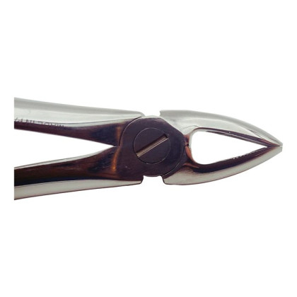 Щипцы для удаления молочных резцов верхней челюсти Ж 37 Фото товара Щипцы для удаления молочных резцов верхней челюсти Ж 37