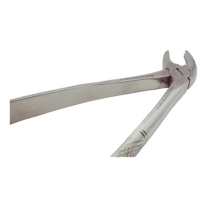 Щипцы для удаления молочных резцов нижней челюсти Ж38 Фото товара Щипцы для удаления молочных резцов нижней челюсти Ж38
