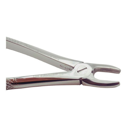 Щипцы для удаления резцов и клыков верхней челюсти № 2 Фото товара Щипцы для удаления резцов и клыков верхней челюсти № 2